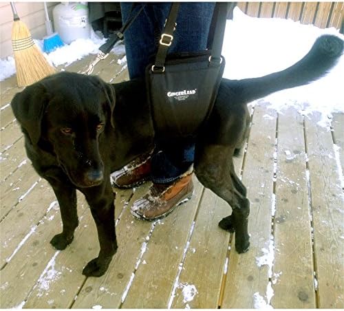 Dog Sling Hind Leg Support, M/LG Unisex with Cutout, Made in USA | Help Pets Walk, K9s Recover from Surgery, Fits Male & Female, Integrated Leash, Machine Wash/Dry, Chest Harness NOT Included