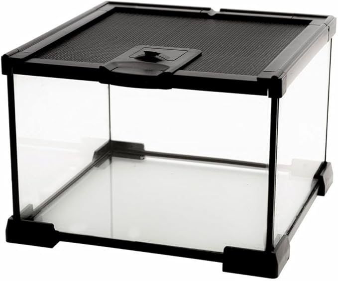 AWXZOM Mini Reptile Glass Terrarium Tank, cage for Tarantula Sling Geckos, Frog, Lizards, Chameleons,Turtles Snake Snail Insect Hermit Crab Isopods Reptiles Enclosure (7.9x7.9x5.7inch)