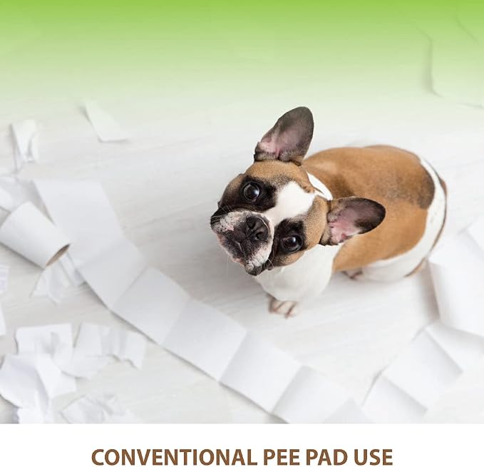 BANU Puppy Pee Pad Holder Indoor Outdoor Dog Potty Toilet Training Tray 20" x 16" for Small and Medium Dogs (Ivory) | Dog Pee Pad Tray, Puppy Training Pad Tray, Indoor Outdoor, Small dogs Medium Dogs Puppy Training Pad Holder