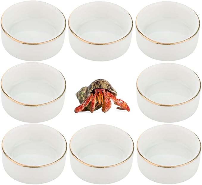 DQITJ 8 Pcs Hermit Crab Ceramic Water Bowl, Tarantula Mini Food Dish for Hermit Crab Tarantula Spider Millipede Tiny Bugs