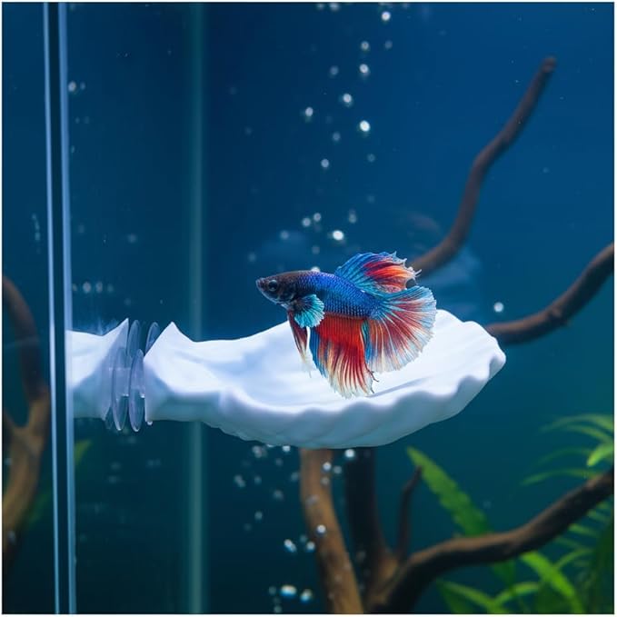 Betta Fish Hammock, Shell Pad with Strong Suction Cup Natural Resting Bed for Bettas Soft Fin-Safe Silicone Betta Fish Tank Decor and Accessories (Blue)