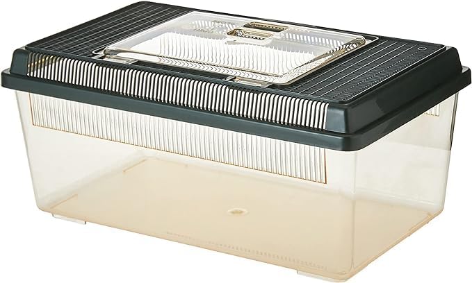 Exo Terra Faunarium Flat Home Plastic Reptile Terrarium, Medium (14" x 8" x 6") | Perfect for Temporary Housing, Quarantine, or Transport | Transparent Plastic Door for Easy Access