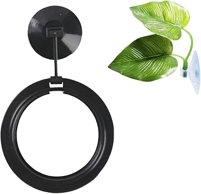 SunGrow Betta Ring and Leaf Hammock, Faux Fish Leaf Pad with Suction Cup, Spawning Ground, Breeding, and Resting Bed, Feeding Spot, Hideout Ornament and Aquarium Décor, Black Circle Fish Feeder, 2 Pcs