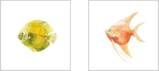 Discus Fish A by Emma Scarvey, 2 Piece Unframed Art Print Set, 12 X 12 Inches Each, Sea Life Art