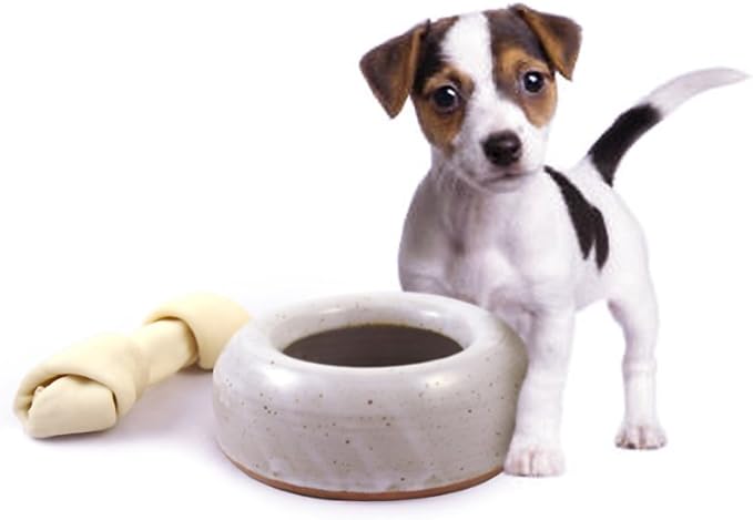 American Made Heavy-Weight Splash-Reducing Stoneware Water Bowl (48oz) | For Cats and Small Dogs