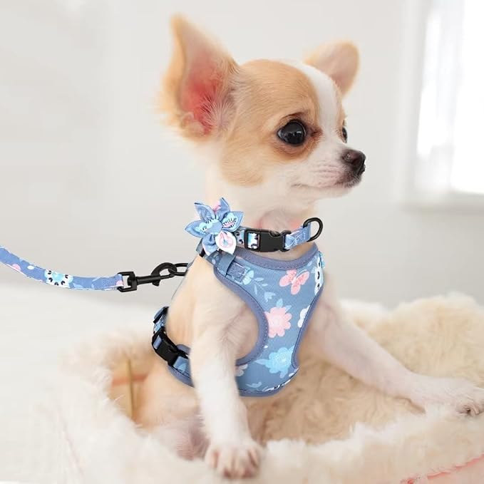 Beirui Cute Dog Collars,Harnesses,Leashes Set, Floral Pattern, Purple,XXS | Girl Dog Harness Set with Flower, Adjustable and Soft Mesh Lining, For Puppies Small & Extra Small Dogs Daily Walks