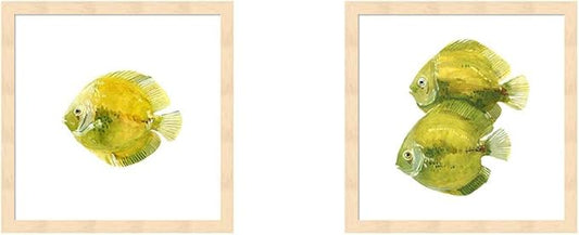 Discus Fish A by Emma Scarvey, 2 Piece Natural Framed Art Set, 13 X 13 Inches Each, Sea Life Art