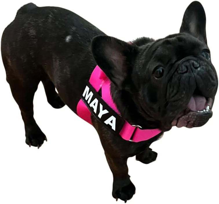 Adjustable Dog Harness– No Pull, No Choke – for English Bulldogs, French Bulldogs, Pugs & Broad-Chested Breeds – Easy, Safe Walks (NEON Pink, Medium)