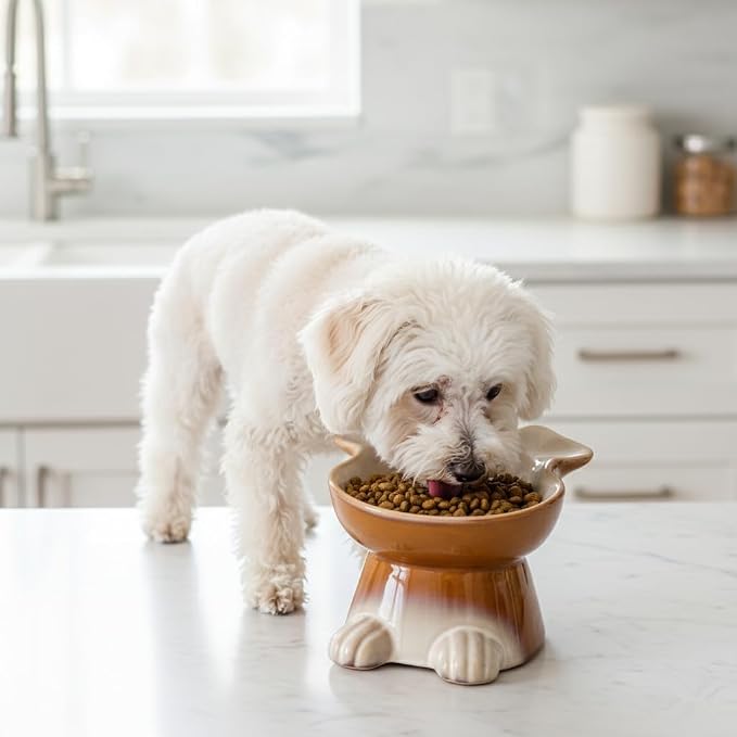 Nihow Elevated Ceramic Dog Bowls: 6.5 Inch Raised Dog Bowl for Food & Water | Food Safe Bowl for Medium/Small Size Dogs - Brown Puppy Bowls for Protecting Pet's Spine(1 PC)