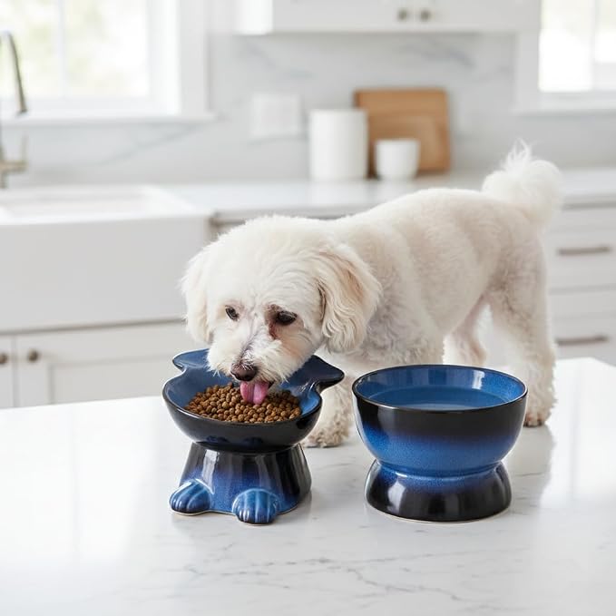 Nihow Dog Food & Water Bowls: Elevated Ceramic Bowls for Medium/Small Dog | Food Safe Raised Puppy Bowls - Vivid Blue Pet Bowl for Protecting Pet's Spine (Set of 2)