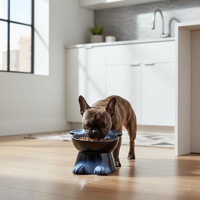 Nihow Elevated Ceramic Dog Bowls: 6.5 Inch Raised Dog Bowl for Food & Water | Food Safe Bowl for Medium/Small Size Dogs - Gray Puppy Bowls for Protecting Pet's Spine(1 PC)