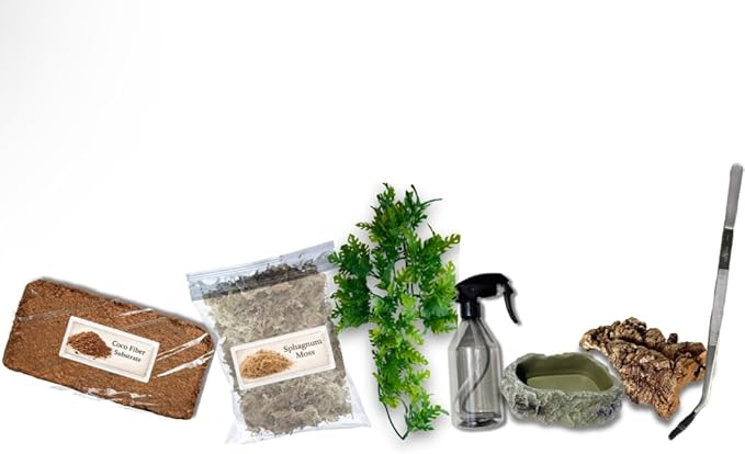 Tarantula Rehousing Supply Kit - Beginner Tarantula Setup Supplies - Substrate, Moss, Plant & Water Dish - Spider Habitat Terrarium Kit