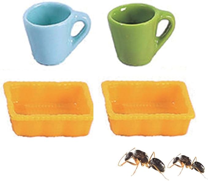 Spider Micro Water Bowl, 3 Pack Mini Liquid Feeder Ant Bowl, Ant Farm Water Feeder, Small Insect Water Bottle, Food Bowl Tarantula Mini Dish for Millipede Tiny Bugs Reptiles