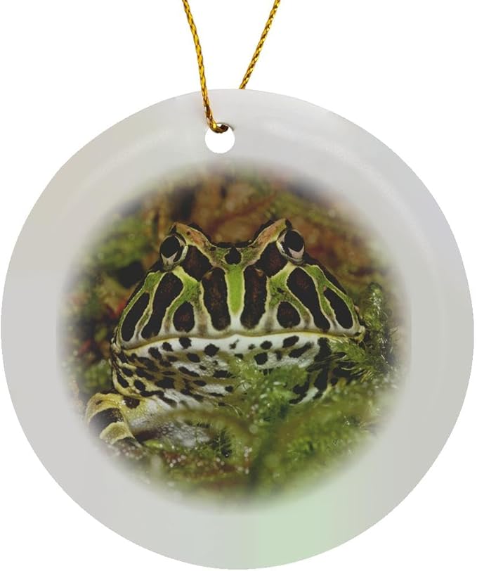 3dRose Pacman Frog, South American Horned Frog - NA02 AJE0361 - Adam Jones Circle Porcelain Ornament