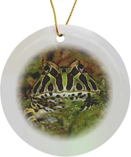 3dRose Pacman Frog, South American Horned Frog - NA02 AJE0361 - Adam Jones Circle Porcelain Ornament