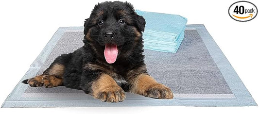 BV Charcoal Puppy Pads XL 40 Count 34"x28" - Leak-Proof Pee Pads for Dogs with 6-Layer Absorbent Design & Built-in Attractant - Dog Pad Extra Large with Charcoal for Odor Control - for Large Dogs
