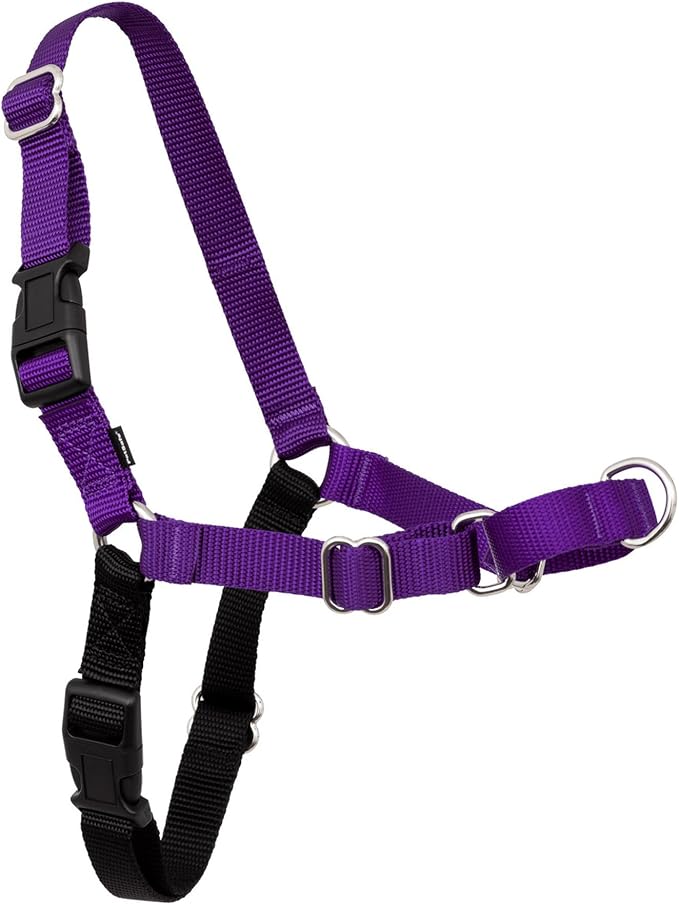PetSafe Easy Walk Harness, No Pull Dog Harness, Deep Purple, Small | Patented Martingale Loop Gives Gradual Shoulder Pressure to Stop Pulling, Front-Chest Leash Clip Prevents Gagging