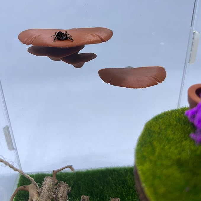 Jumping Spider Mushroom Shelf, Magnetically Concealed Jumping Spider Habitat,Serves As Enclosure Decorate Accessories for Spider Climbing Feeding and Platforms (Brown)
