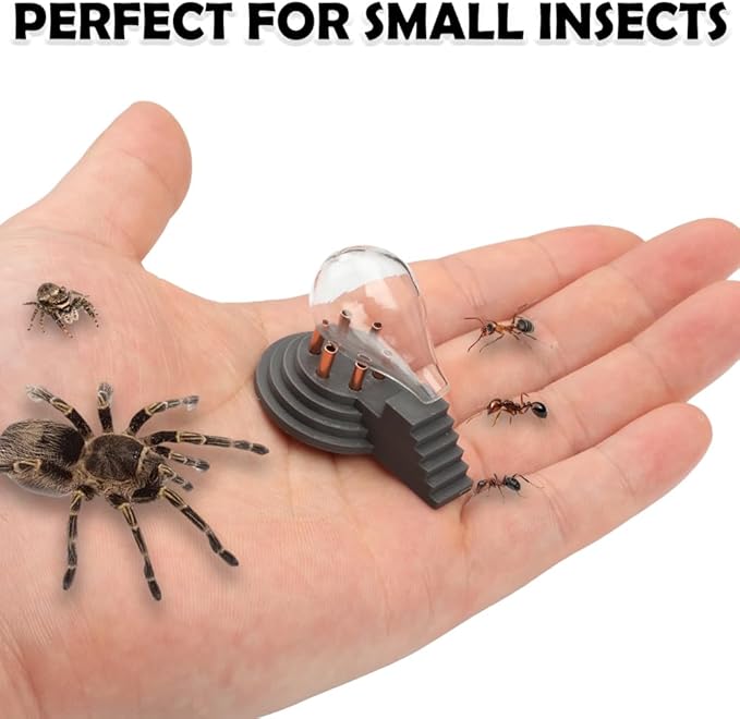 1 Pack Spider Water Feeder Ant Waterer Tarantula Water Bowl Creative Shape