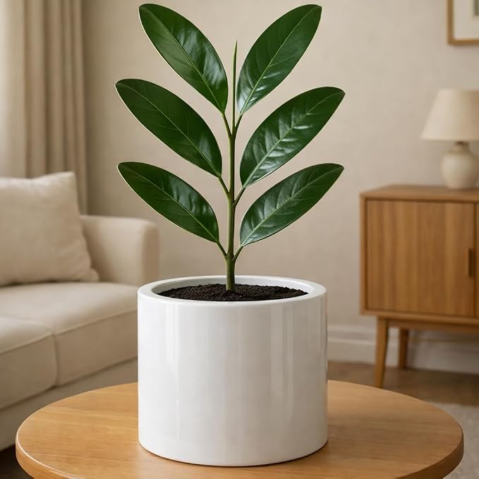 Fox & Fern Large Indoor Planter, Modern Large Plant Pot for Indoor or Outdoor, UV and Frost Resistant - 8 Inch, Glossy White Flower Pot with Drainage Plug, Lightweight
