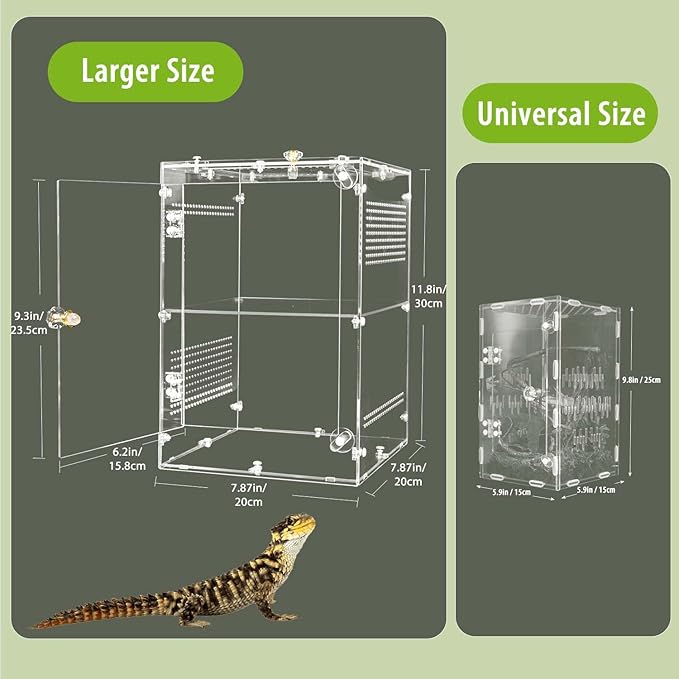 Acrylic Jumping Spider Enclosure with Removable Divider – 12"*8"*8" Large Reptile Terrarium for Praying Mantis, Arboreal Tarantula, Snails, Lizard, Gecko, Secure Habitat with Front Door & Top Lid