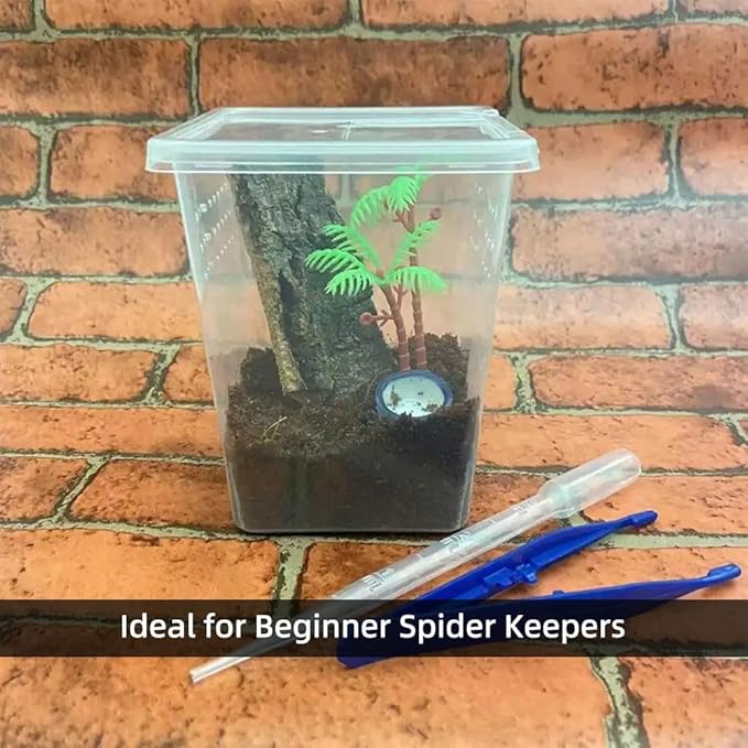 5 Pcs Spider Terrariums Breeding Box, Tall Insect Hatching Container Plastic Feeding Box for Arboreal Small Reptiles Jumping Spider Scorpion Centipede Insect
