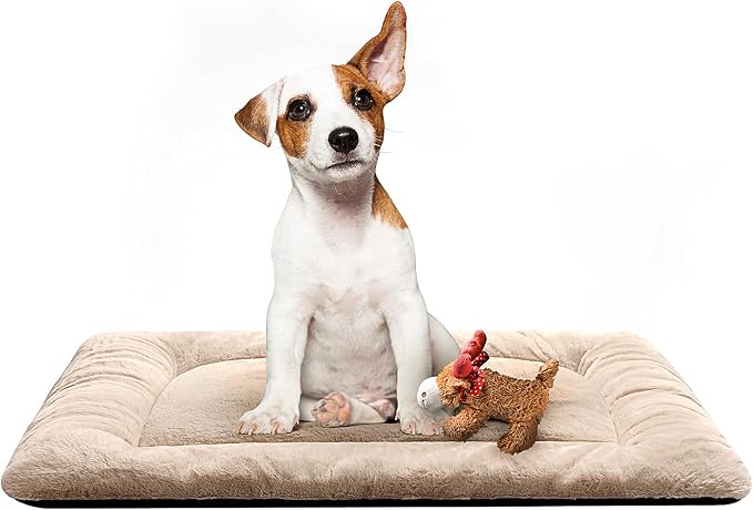 Dog Crate Pad Washable Dog Bed for Crate Medium Cozy Mat 30-Inch Cream | Ultra Soft Kennel Pad,Anti-Slip Bottom,Fits for Most Metal Crates,Comfortable Sleeping Pet Mat
