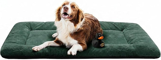 Dog Crate Pad Washable Dog Bed for Crate Large Cozy Mat 48-Inch Green | Ultra Soft Kennel Pad,Anti-Slip Bottom,Fits for Most Metal Crates,Comfortable Sleeping Pet Mat