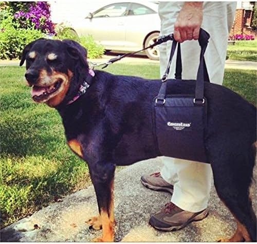 Dog Support Sling Rear Harness, Large Female, Machine Wash & Dry | Padded Rear Lift, Integrated Leash, Assist Senior K9s or Recovery from Knee/TPLO, Hip or Back Surgery, Made in U.S.A.