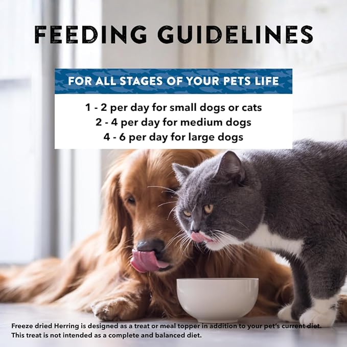 Northwest Naturals Raw Rewards Freeze-Dried HerringTreats for Dogs and Cats - Bite-Sized Pieces - Healthy, 1 Ingredient, Human Grade Pet Food, All Natural, Proudly Made in USA, 13oz
