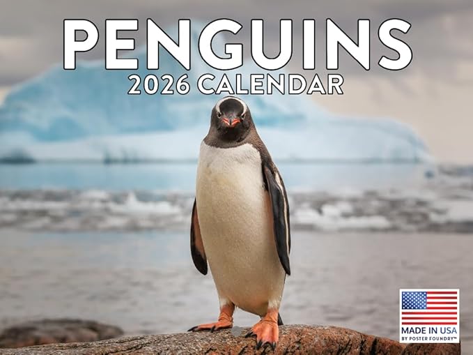 Penguin Calendar 2026 Wall Monthly Penguins Gifts For Penguin Lovers Women Men | American Made In The USA