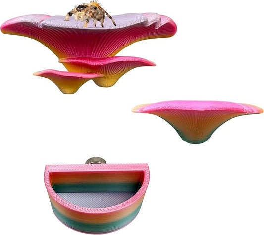 2 Pack Jumping Spider Accessories Mushroom Ledges & 1 Pack Water Bowl with Magnets for Spoods Jumping Spiders Magnetic Ledge Ladder Pet Spider Accessories (Not Included The Terrarium) (colorful)