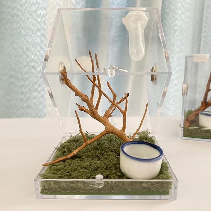 Jumping Spider Enclosure, Jumping Spider Habitat with Dropper Tongs Acrylic Reptile Breeding Box for Tarantula Scorpion Sling Isopods Invertebrates Insects Mantis Snake Gecko