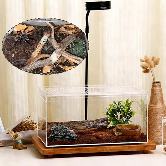 Acrylic Reptile Enclosure, No Assembly Small Reptile Breeding Box for Insect Tarantula Hermit Crab Jumping Spider (12x8x6 in)
