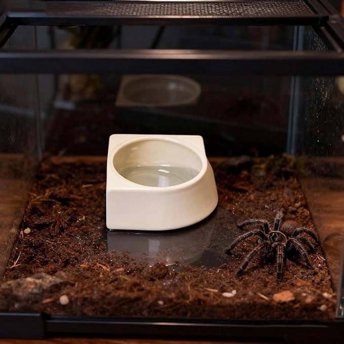 1 Pack Spider Micro Water Bowl Mini Tarantula Water Dish for Millipede Spiders Gecko Lizard Tiny Reptile Jumping Spider Enclosure Accessories (Small: 2.48" D) Cream White