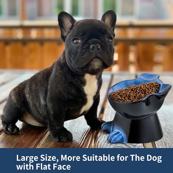 Nihow Elevated Ceramic Dog Bowls: 6.5 Inch Raised Dog Bowl for Food & Water | Food Safe Bowl for Medium/Small Size Dogs - Vivid Blue Puppy Bowls for Protecting Pet's Spine (1 PC)