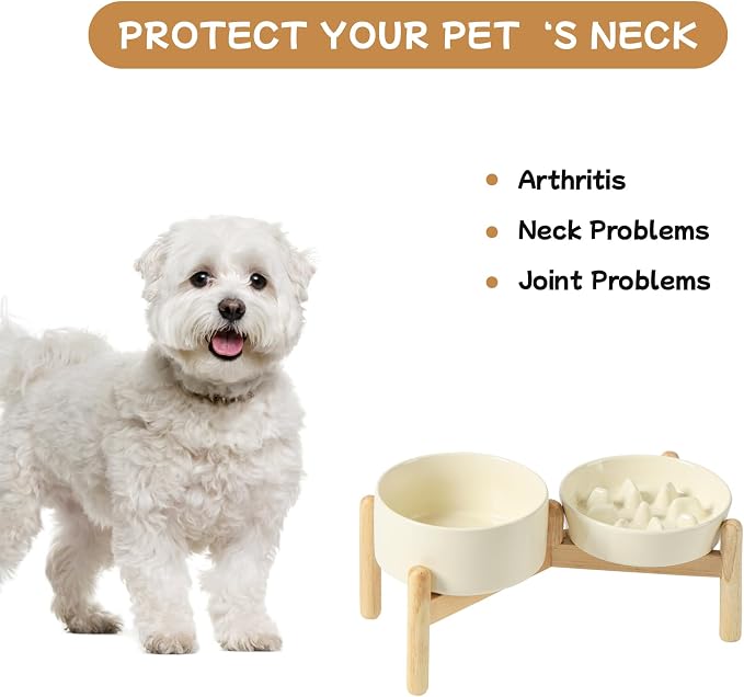 Havniva Elevated Slow Feeder Dog Bowls, Ceramic Dog Bowl Slow Feeder Set | 0.9 Cups Raised Slow Feeder Dog Bowl for Small Breed, 6.1” Dog Water Bowl with Wooden Stand, Puzzle Dog Food Bowl, Non-slip