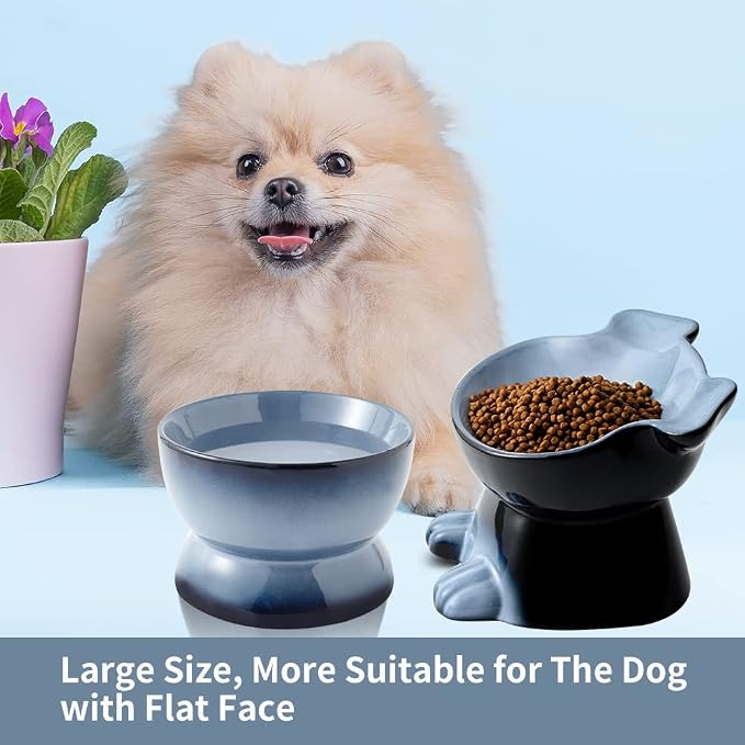 Nihow Dog Food & Water Bowls: Elevated Ceramic Bowls for Medium/Small Dog | Food Safe Raised Puppy Bowls - Gray Pet Bowl for Protecting Pet's Spine (Set of 2)