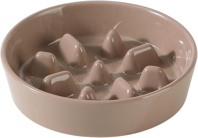 Havniva Dog Bowls Slow Feeder, Ceramic Slow Feeder Dog Bowls for Fast Eater | 1.2 Cups Dog Food Bowl Puzzle Feeder, Slow Feeding Bowls for Small & Medium Breed, Non-Slip Base, Anti-Choking