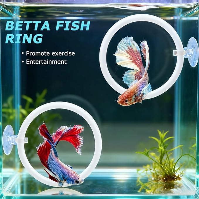 2pcs Bettas Fish Enrichment Toys Ring with Mirror & 2 Bio Filter Balls Betas Exercise Loop Toys Bett a Fish Exercise Ring Suitable for Fishs Tank, Aquarium(Color:White)