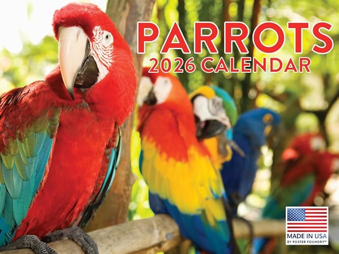 Parrot Calendar 2026 Wall Monthly Parrots Gifts For Parrot Lovers Women Men | American Made In The USA