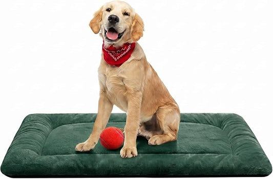 Dog Crate Pad Washable Dog Bed for Crate Medium Cozy Mat 36-Inch Green | Ultra Soft Kennel Pad,Anti-Slip Bottom,Fits for Most Metal Crates,Comfortable Sleeping Pet Mat