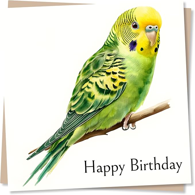 Budgie Birthday Card - Beautiful Green and Yellow Budgerigar Design - Budgie Happy Birthday Card For Men, For Women, For Bird Lovers