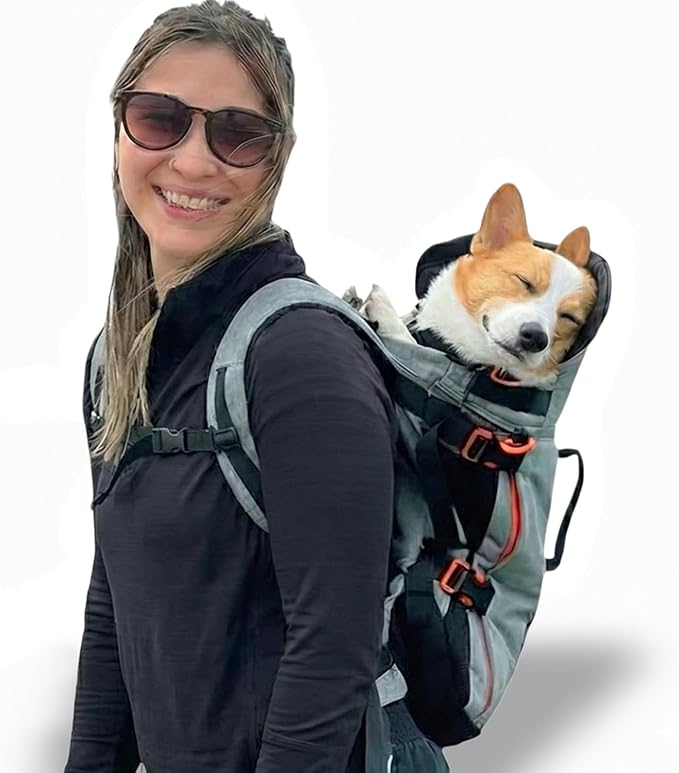 Maxine One Dog Backpack Carrier for Medium Dogs (Gray) | Adjustable & Ergonomic Pet Carrier, Built to be Safer, Hands Free Travel & Hiking, Front Facing, Featured in Wired Magazine