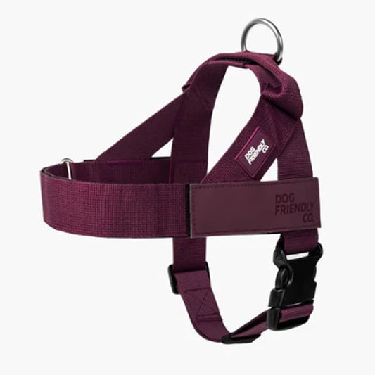 Dog Friendly Co. Dog Harness for Small Dogs (Burgundy, Small) | One Click Buckle, Chafe Resistant Webbing, Adjustable Neck & Chest, and Heavy Duty D-Ring, Sturdy Comfortable and Easy to Use