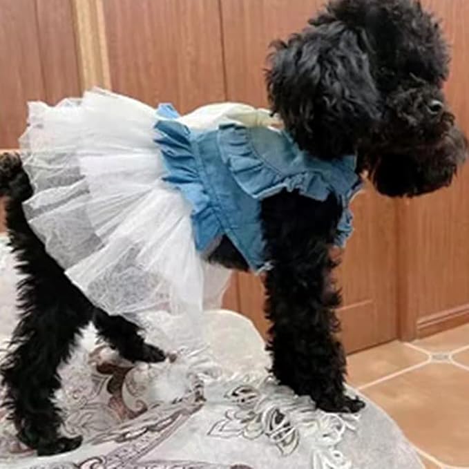 ANIAC Blue Denim Dog Dresses for Small Dog Girl Spring Summer Puppy Clothes Fancy Dress for Dogs Cat White Lace Pet Tutu Outfit for Birthday Wedding Valentine(Large)