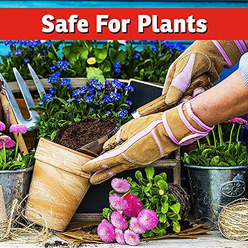 I Must Garden Répulsif Lapin : Spray anti-lapin à la menthe pour plantes et pelouses – 946 ml prêt à l'emploi