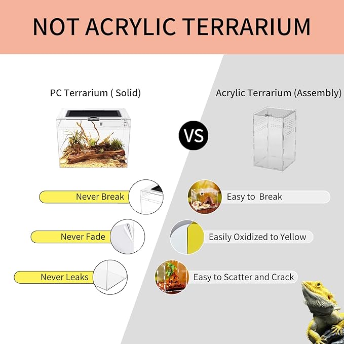 Reptile Growth Mini Reptile Terrarium,12" x 7"x 9" Reptile Tank with Full View Visually Appealing，for Insect，Fish，Tarantula，Hermit crab，Jumping spider，Iguana，Tortoise，Leopard Gecko，Frog，Bearded dragon