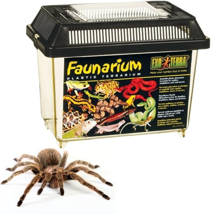 Exo Terra Faunarium Small PT2255 – Plastic Reptile Terrarium and Transport Container for Lizards, Spiders & Amphibians