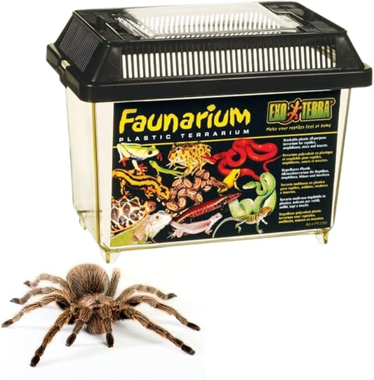 Exo Terra Faunarium Small PT2255 – Plastic Reptile Terrarium and Transport Container for Lizards, Spiders & Amphibians